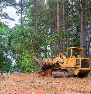Bulldozer clearing trees in forest area.