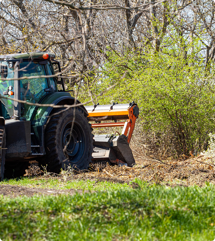 Tractor clearing brush in a wooded area.