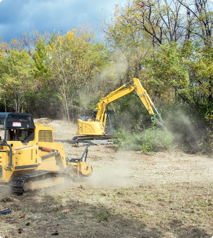 Construction vehicles clearing land near trees.