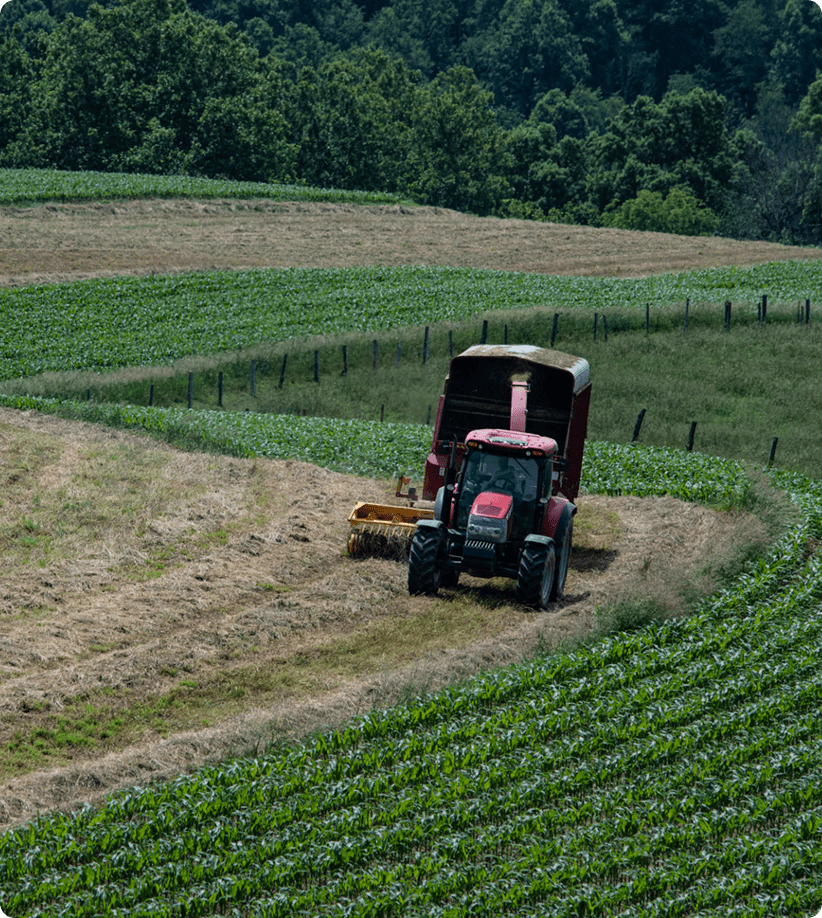 Tractor harvesting crops on a green field.