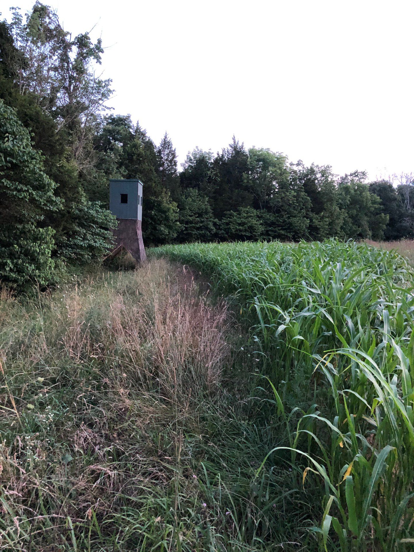 68c03e8e344c1_food plot 1